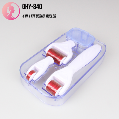 newest alloy steel dermaroller 4 in 1 derma roller